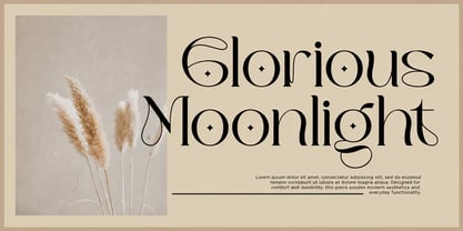 Zavera Font Poster 2