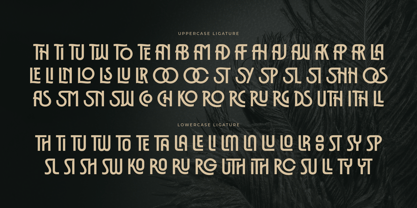 Orlenco Font Poster 11