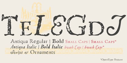 Telegdi Script Font Poster 5