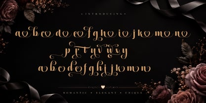 Denyta Font Poster 9