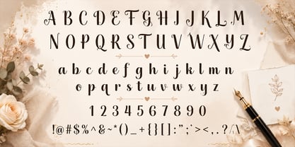 Denyta Font Poster 7