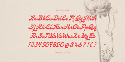 Nevroda Wisdom Font Poster 10