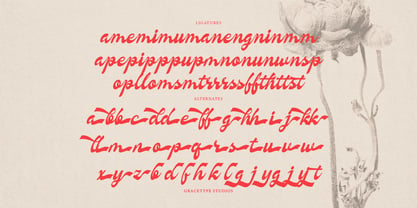 Nevroda Wisdom Font Poster 12