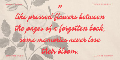 Nevroda Wisdom Font Poster 6