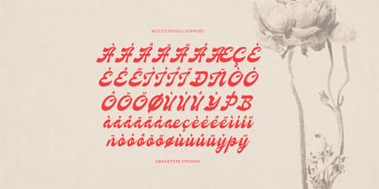 Nevroda Wisdom Font Poster 11