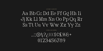 The Memories Font Poster 5