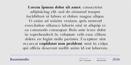Delusion Font Poster 4