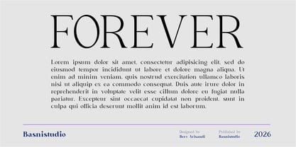 Delusion Font Poster 2