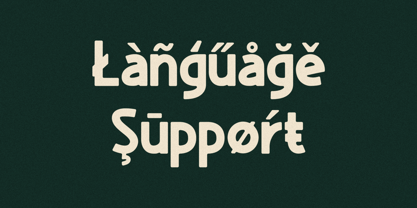 Fjorden Font Poster 10