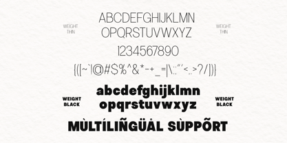 Calven Font Poster 10