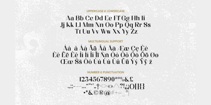 Elwin Font Poster 5