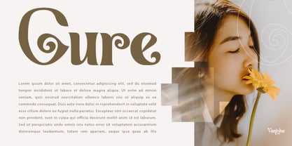 Vanisha Font Poster 8