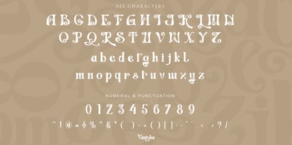 Vanisha Font Poster 9
