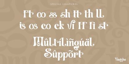 Vanisha Font Poster 10