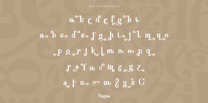 Vanisha Font Poster 11