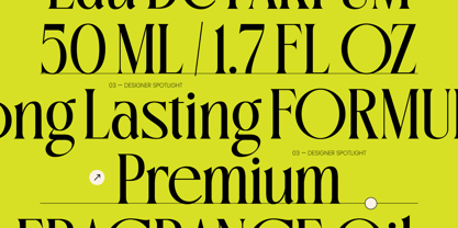 Oligierky Font Poster 8