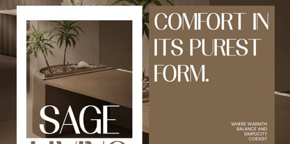 Vermica Font Poster 7