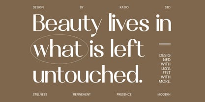 Vermica Font Poster 4