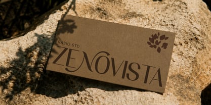 Vermica Font Poster 11