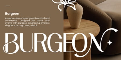 Vermica Font Poster 6