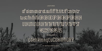 Archives Classic Font Poster 12