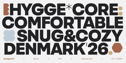 Amigavel Font Poster 5