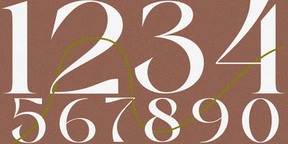 Clucks Font Poster 9