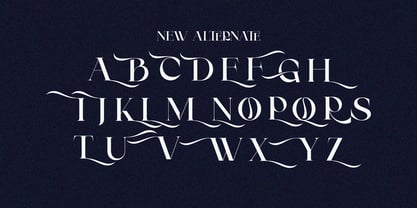 Clucks Font Poster 7