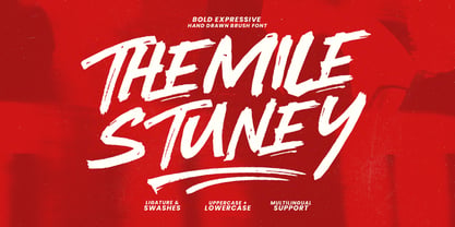 Themile Stuney Font Poster 1