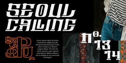 Bongseon Font Poster 4