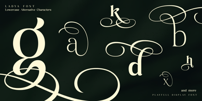 Ladya Font Poster 9