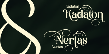 Ladya Font Poster 7