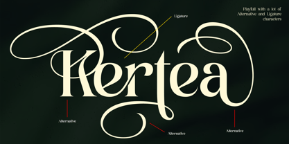 Ladya Font Poster 3