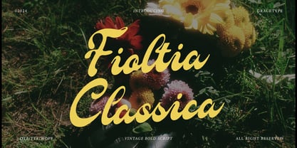 Fioltia Classica Font Poster 1
