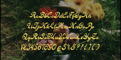 Fioltia Classica Font Poster 10