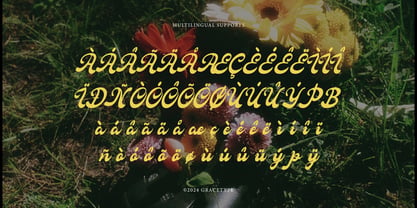 Fioltia Classica Font Poster 11