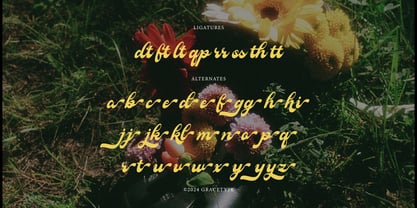 Fioltia Classica Font Poster 12
