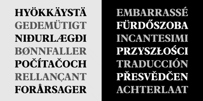 Plantain Font Poster 3