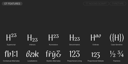 TT Nooks Script Font Poster 12