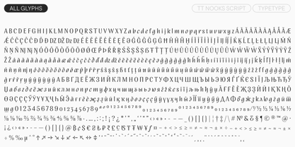 TT Nooks Script Font Poster 10