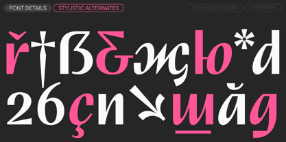 TT Nooks Script Font Poster 15