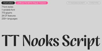 TT Nooks Script Font Poster 1