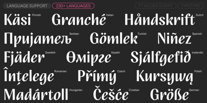 TT Nooks Script Font Poster 7