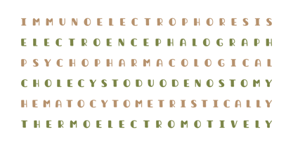 Averon Font Poster 14