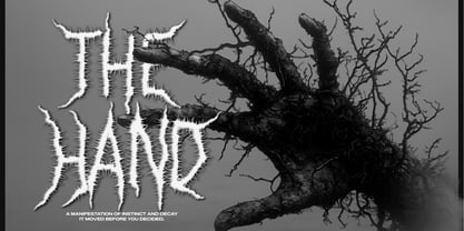Void Briar Font Poster 3