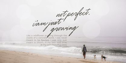 Joseph Watson Font Poster 3