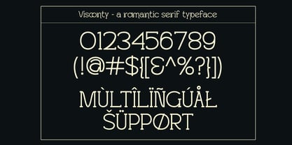 Visconty Font Poster 9