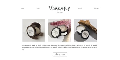 Visconty Font Poster 2