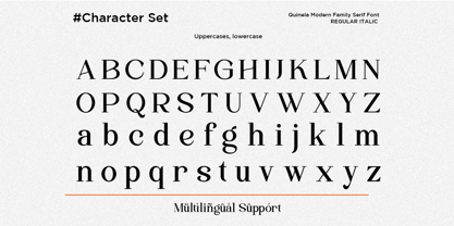 Quinela Font Poster 11