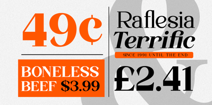Quinela Font Poster 7